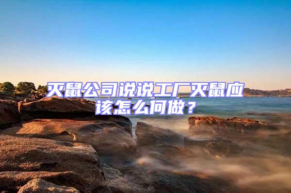 滅鼠公司說說工廠滅鼠應(yīng)該怎么何做?