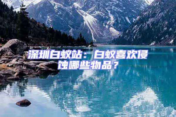 深圳白蟻站:白蟻喜歡侵蝕哪些物品?