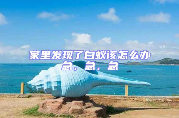 家里發現了白蟻該怎么辦急，急，急