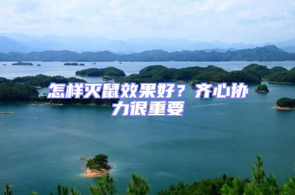 怎樣滅鼠效果好?齊心協(xié)力很重要