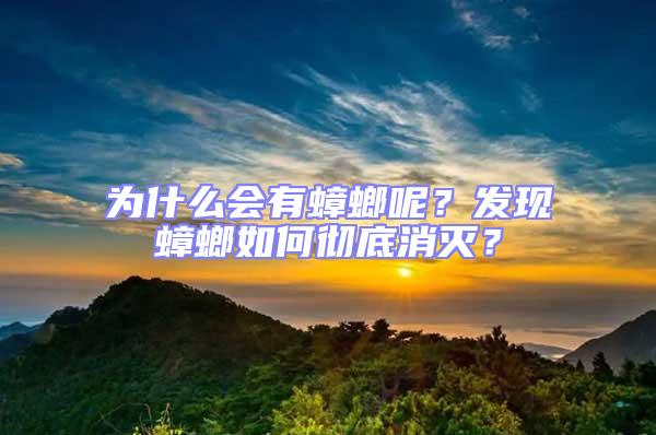 為什么會有蟑螂呢?發現蟑螂如何徹底消滅?