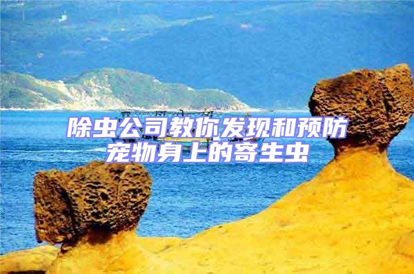 除蟲公司教你發(fā)現(xiàn)和預(yù)防寵物身上的寄生蟲
