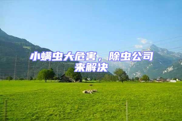 小螨蟲(chóng)大危害,除蟲(chóng)公司來(lái)解決