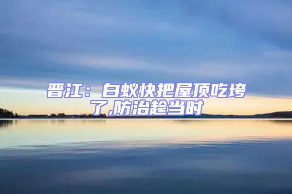 晉江:白蟻快把屋頂吃垮了,防治趁當時