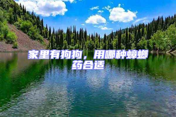 家里有狗狗,用哪種蟑螂藥合適