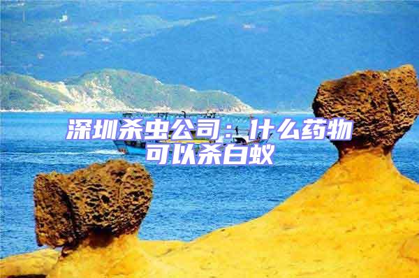 深圳殺蟲公司:什么藥物可以殺白蟻
