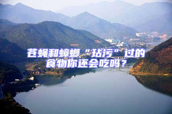蒼蠅和蟑螂“玷污”過的食物你還會吃嗎?