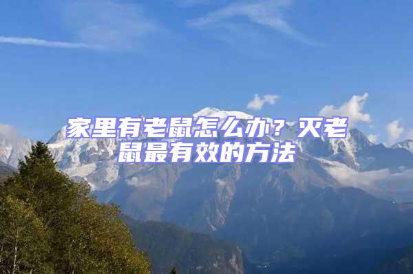 家里有老鼠怎么辦？滅老鼠最有效的方法