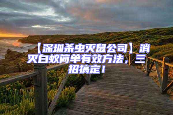【深圳殺蟲滅鼠公司】消滅白蟻簡單有效方法，三招搞定！