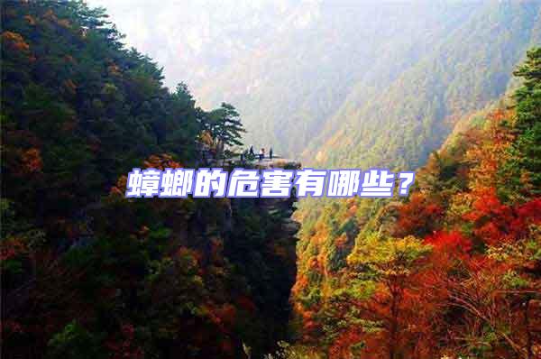 蟑螂的危害有哪些?