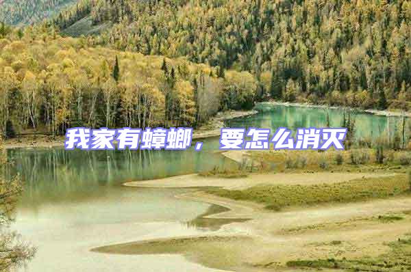 我家有蟑螂,要怎么消滅