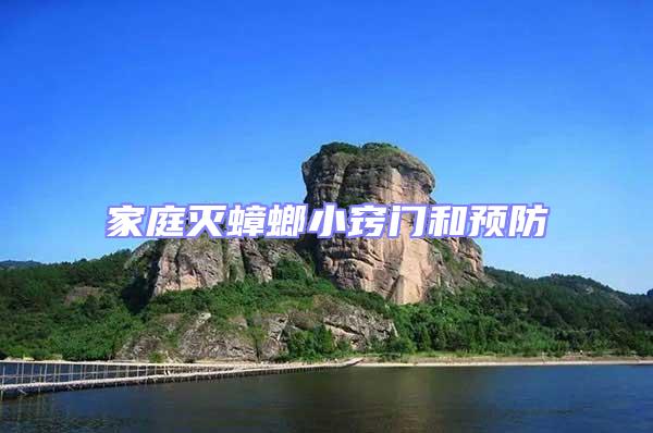 家庭滅蟑螂小竅門(mén)和預(yù)防