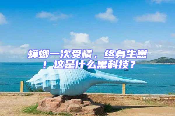 蟑螂一次受精,終身生崽!這是什么黑科技?