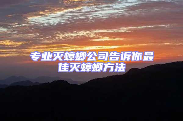 專業(yè)滅蟑螂公司告訴你最佳滅蟑螂方法