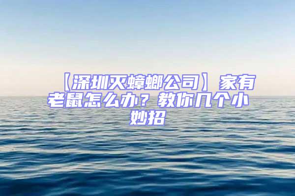 【深圳滅蟑螂公司】家有老鼠怎么辦?教你幾個(gè)小妙招