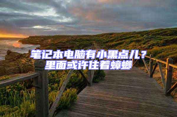 筆記本電腦有小黑點兒？里面或許住著蟑螂