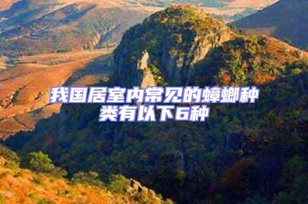 我國居室內(nèi)常見的蟑螂種類有以下6種