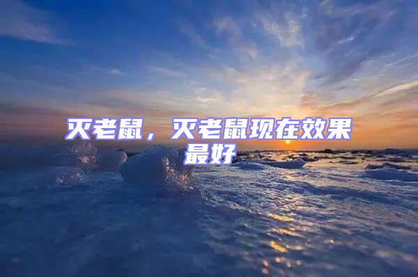 滅老鼠,滅老鼠現在效果最好