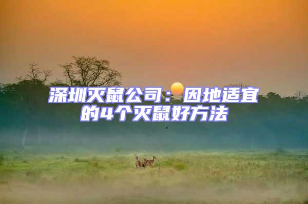 深圳滅鼠公司:因地適宜的4個滅鼠好方法