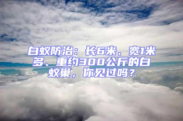 白蟻防治：長6米、寬1米多、重約300公斤的白蟻巢，你見過嗎？