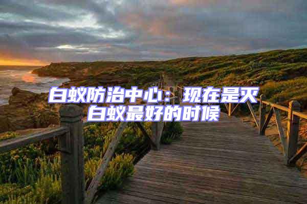 白蟻防治中心:現(xiàn)在是滅白蟻?zhàn)詈玫臅r(shí)候