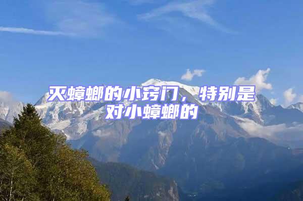 滅蟑螂的小竅門，特別是對小蟑螂的