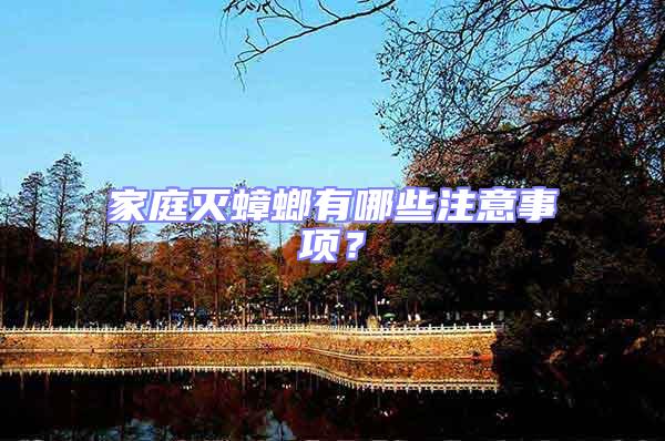 家庭滅蟑螂有哪些注意事項?