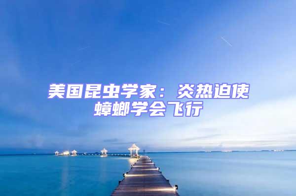 美國昆蟲學家:炎熱迫使蟑螂學會飛行