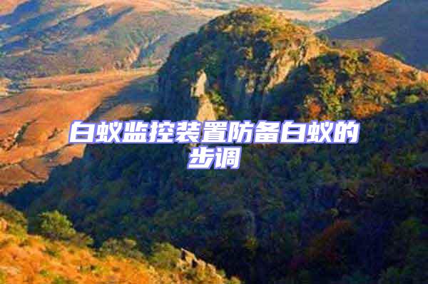 白蟻監控裝置防備白蟻的步調