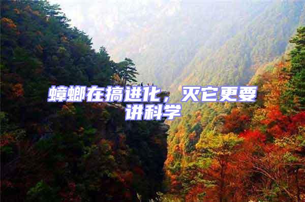 蟑螂在搞進化,滅它更要講科學