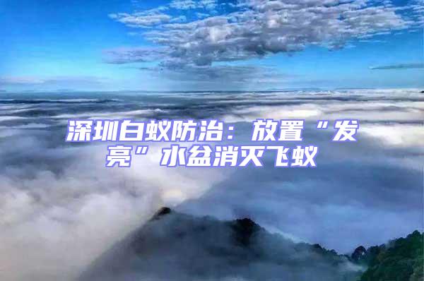 深圳白蟻防治:放置“發亮”水盆消滅飛蟻