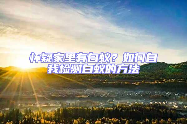 懷疑家里有白蟻?如何自我檢測白蟻的方法