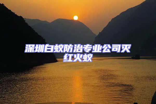 深圳白蟻防治專業(yè)公司滅紅火蟻