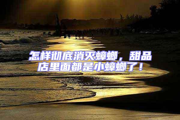 怎樣徹底消滅蟑螂,甜品店里面都是小蟑螂了!
