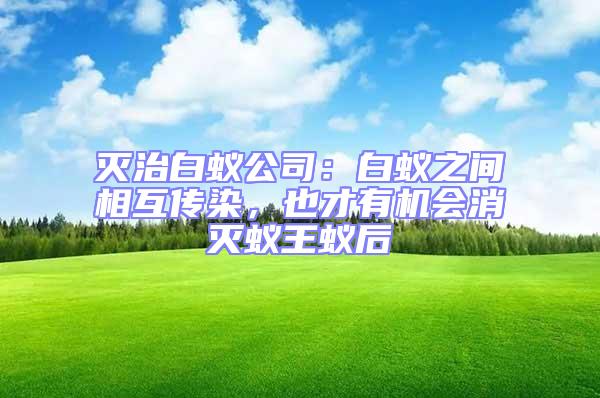 滅治白蟻公司:白蟻之間相互傳染,也才有機會消滅蟻王蟻后