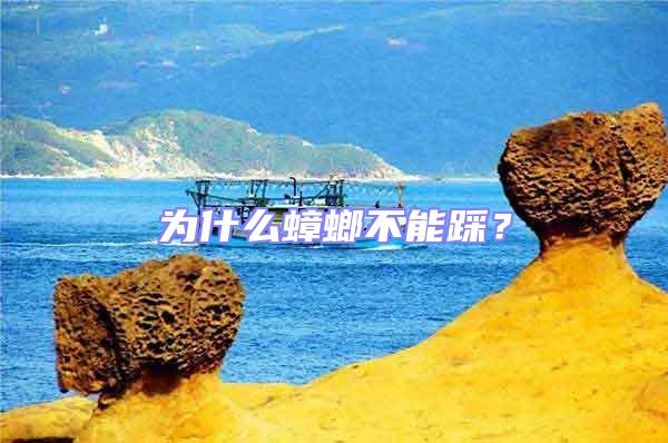為什么蟑螂不能踩?