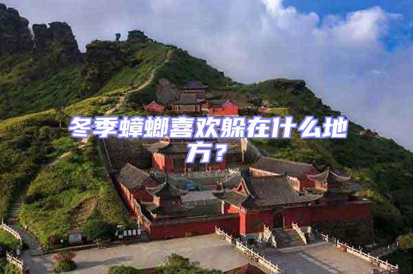 冬季蟑螂喜歡躲在什么地方?