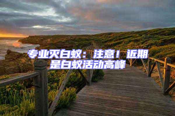 專業(yè)滅白蟻:注意!近期是白蟻活動(dòng)高峰