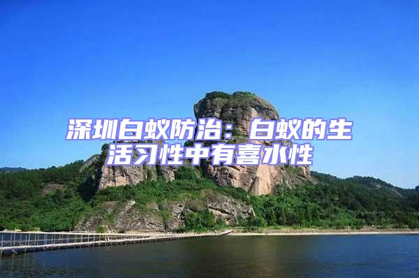 深圳白蟻防治:白蟻的生活習(xí)性中有喜水性