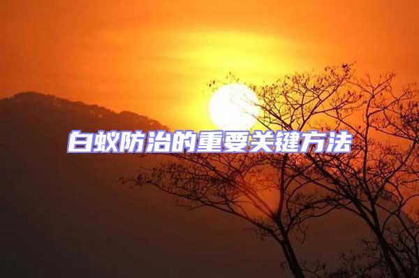 白蟻防治的重要關鍵方法