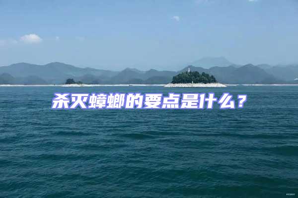 殺滅蟑螂的要點(diǎn)是什么？