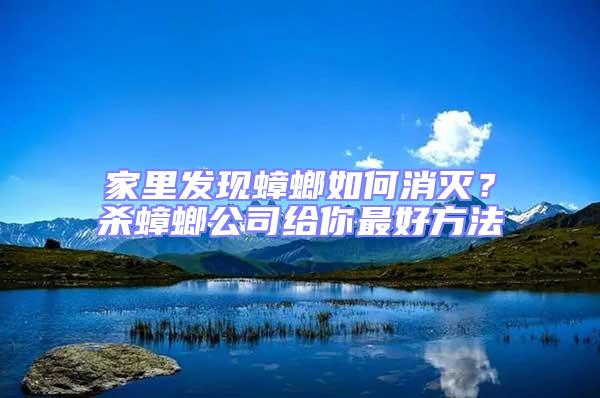 家里發現蟑螂如何消滅?殺蟑螂公司給你最好方法