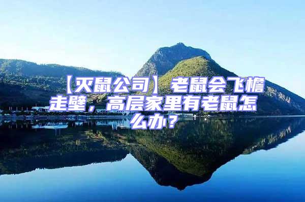 【滅鼠公司】老鼠會(huì)飛檐走壁,高層家里有老鼠怎么辦?