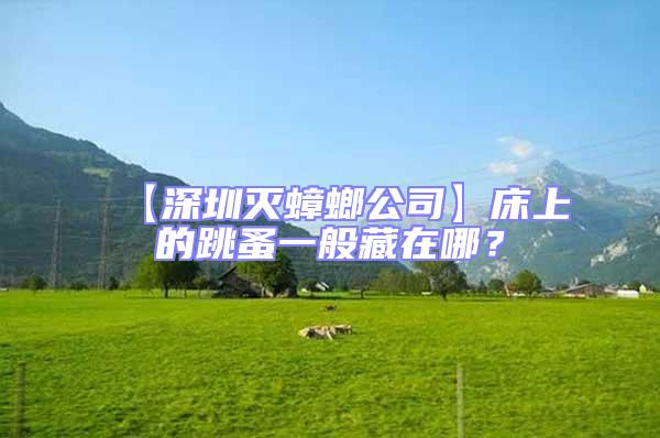 【深圳滅蟑螂公司】床上的跳蚤一般藏在哪?