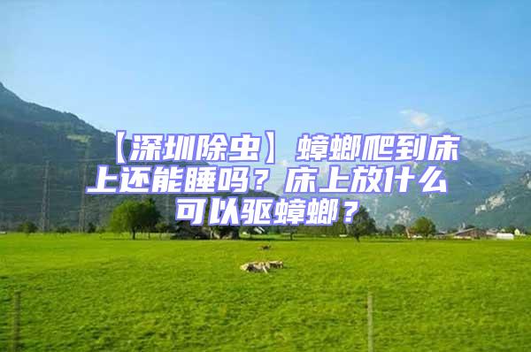 【深圳除蟲(chóng)】蟑螂爬到床上還能睡嗎？床上放什么可以驅(qū)蟑螂？