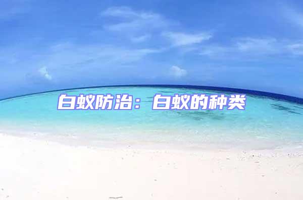 白蟻防治:白蟻的種類