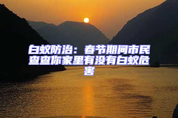 白蟻防治:春節期間市民查查你家里有沒有白蟻危害