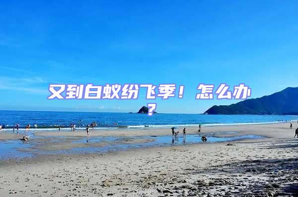 又到白蟻紛飛季！怎么辦？