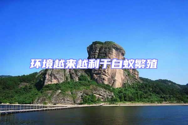 環(huán)境越來越利于白蟻繁殖