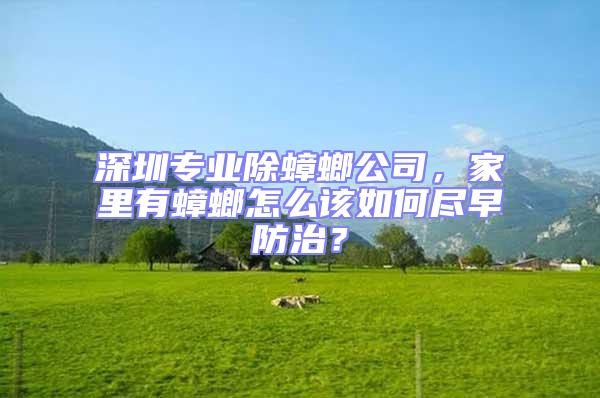 深圳專業除蟑螂公司,家里有蟑螂怎么該如何盡早防治?